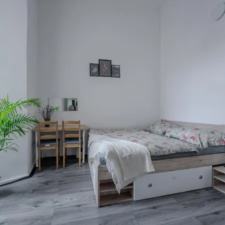 Stunning & Spacious 2bdr Apt In Center Praga